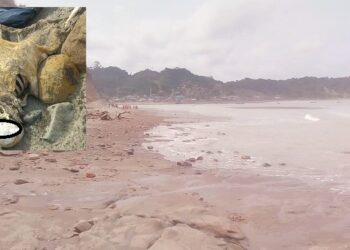 Aparece un cuerpo en descomposición en una playa de Muinse