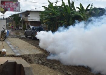 Termoesmeraldas realiza fumigación masiva en zonas afectadas por desborde del Río Teaone