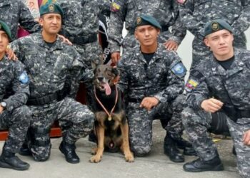Se retira perro policía que halló 1 200 explosivos en Esmeraldas
