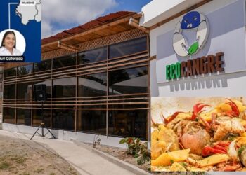Descubre una experiencia gastronómica única en el cantón Muisne con el encocado de cangrejo azul de ECOCANGRE