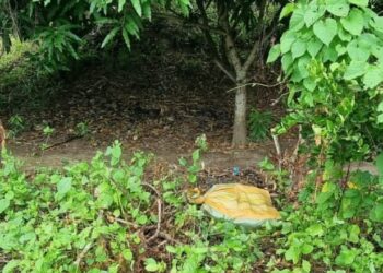 Policía requisa otro cargamento de marihuana en la zona norte de Esmeraldas
