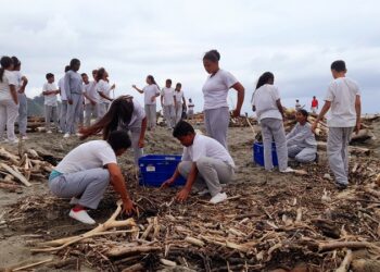 Ayuda en Acción protege los manglares de Muisne