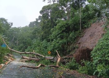 Las lluvias vuelven a causar estragos; cortes de energía y deslizamientos en varios cantones