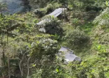 Policía Nacional ejecuta operativos en contra del cultivo de droga en Esmeraldas