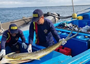 A pescadores esmeraldeños, les incautan más de media tonelada de pesca en santuario colombiano de flora y fauna