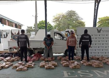Operativo «Valdemar» permite el decomiso de 400 bloques de marihuana