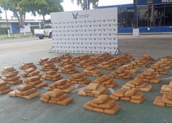 315.000 gramos de droga fueron sacados del mercado de consumo interno