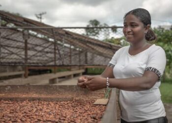 El bioplástico beneficia a productoras de cacao en Esmeraldas      
