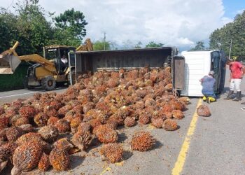 Camión cargado de palma africana se accidentó en Quinindé