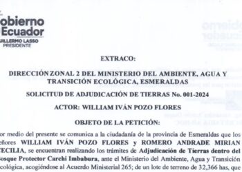 William Iván Pozo Flores