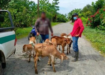 Aprehendidos con armas de fuego y objetos de dudosa procedencia