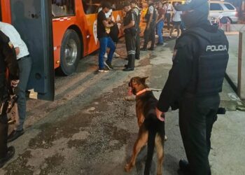 En operativo de requisa el perro “Martín” detecta droga transportada de manera camuflada   