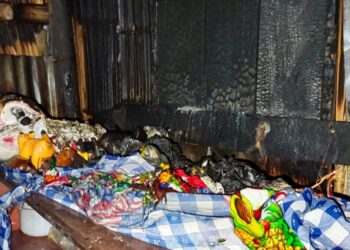 Incendio en La Propicia 2 es controlado gracias a la rápida respuesta de moradores y bomberos   