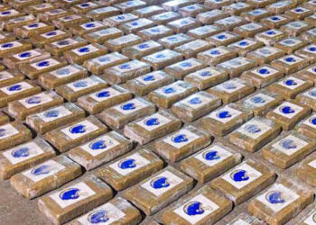 Fiscalía procesa a aprehendido con 196 kilos de cocaína   