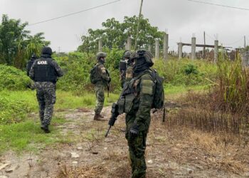 Operativos CAMEX fortalecen la seguridad ciudadana