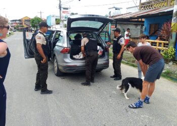 Violencia en Esmeraldas se reduce casi en un 60%, dice Policía Nacional