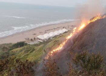 Incendio forestal puso en alerta al balneario Las Palmas