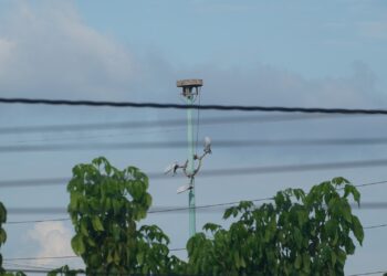Luminaria en estado crítico amenaza la seguridad de ciudadanos y vehículos
