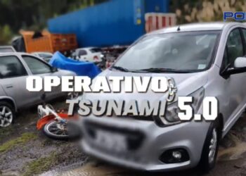 Operativo Tsunami5.0 permite capturar a 173 sujetos a escala nacional, Video