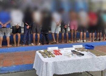 Capturados 12 integrantes del Grupo Armado Organizado “Los Tiguerones”, Video