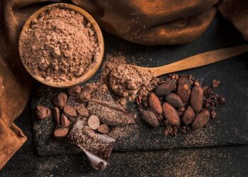 Cacao ecuatoriano