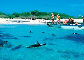 Playa Tortuga Bay