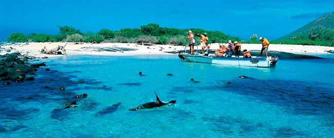 Playa Tortuga Bay