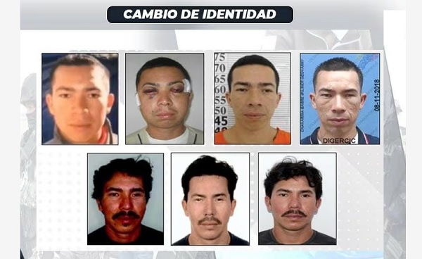 Wilmer Chavarría, alias Pipo